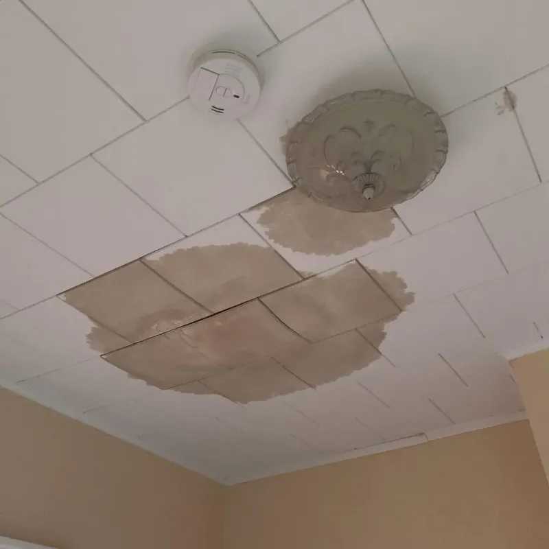 Ceiling Water Damage Repair in Dakota, WI