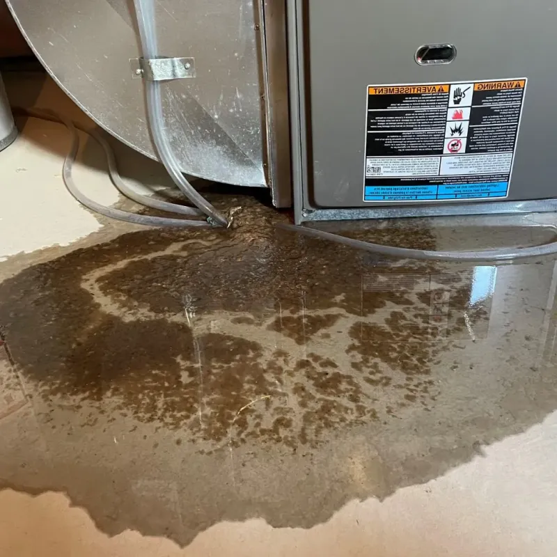 Pipe Burst and Leak Restoration in Dakota, WI